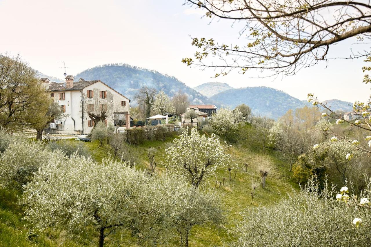 Asolo Norah'S Hill Agri Rooms Monfumo Exterior photo